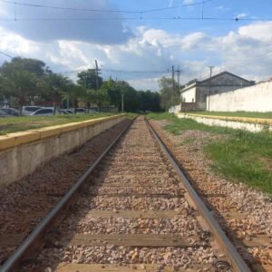 Obras de implantação do trem Campinas-São Paulo vão gerar 20 mil empregos