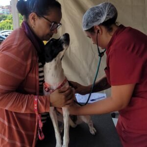 Castramóvel tem 30 vagas para região do São Marcos em Valinhos