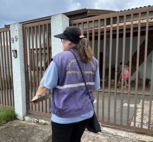 Mais de 530 casos de dengue já foram registrados somente neste ano em Valinhos