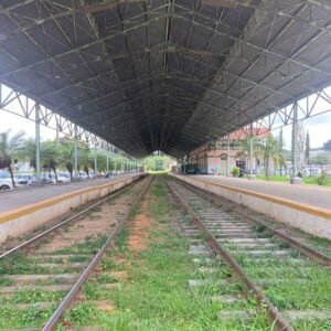 Trem vai fazer viagem de Campinas a São Paulo em cerca de 64 minutos