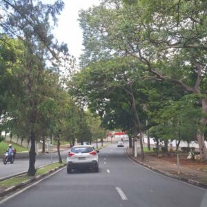 Sol e calor de até 38°C devem marcar final de semana em Valinhos
