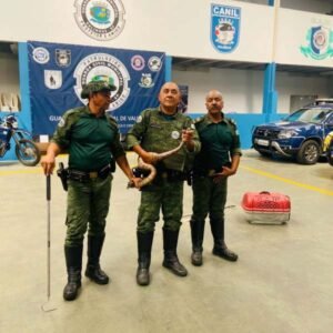 Jiboia é capturada pela GCM de Valinhos em terreno próximo à Santa Casa