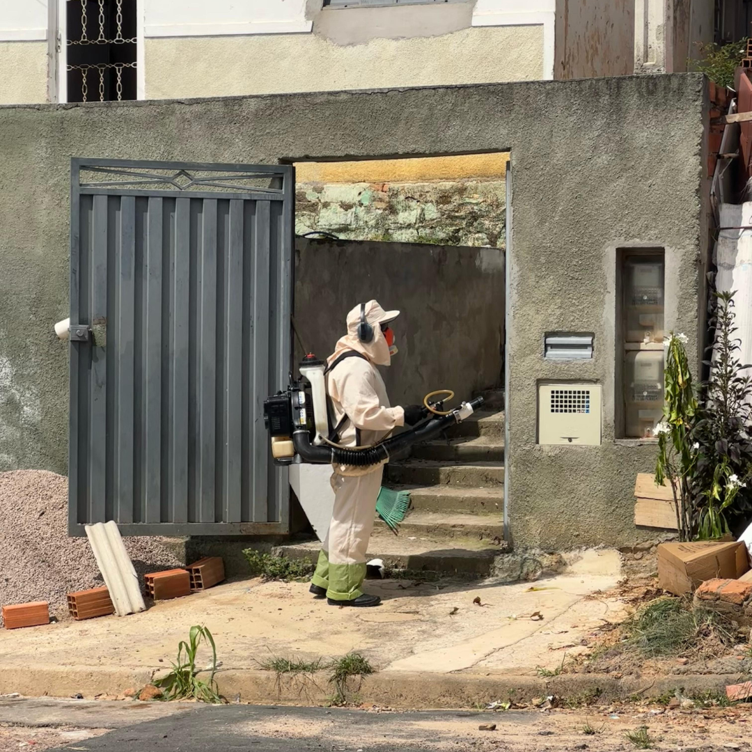 Quase mil casos de dengue já tem Valinhos em apenas 3 meses