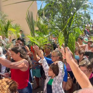 Paróquias de Valinhos vão celebrar Domingo de Ramos com procissões e missas
