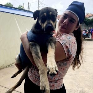 Castramóvel irá atender pets da Vila Santana em Valinhos no próximo dia 20