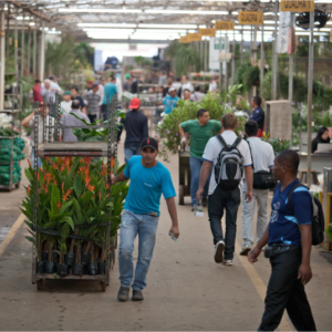 Concurso da Ceasa Campinas abre 18 vagas com salários de até 5,3 mil