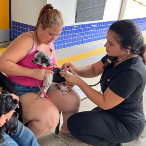 “Castramóvel” está com inscrições abertas para a próxima etapa no CACC em Valinhos