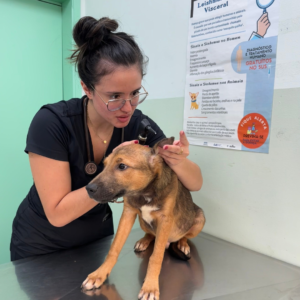 Atendimento veterinário gratuito já está sendo realizado em Valinhos